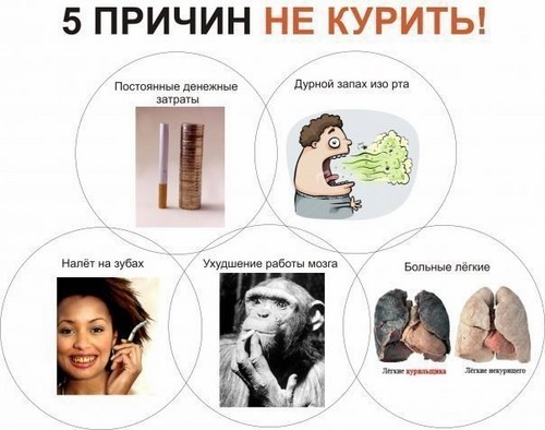 Картинка Брянский техникум профессиональных