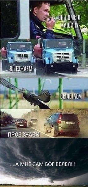 Абсолют, автошкола