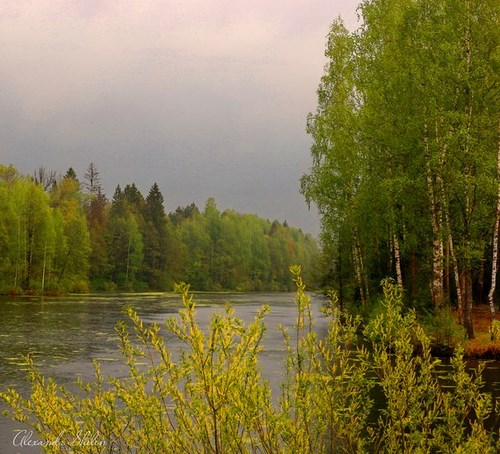  Альтернатива фотостудия