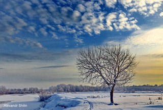 Для Альтернатива, фотостудия