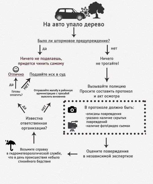Фото Автошкола ДОСААФ