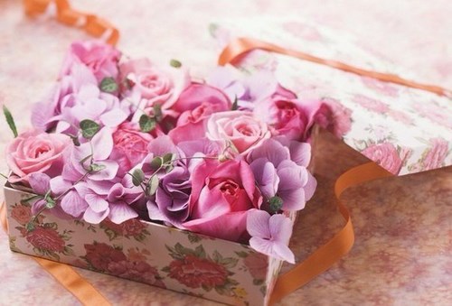 Брава Лингва, школа иностранных языков
