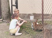 Статус, фотостудия