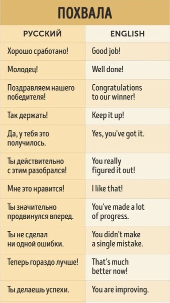 Ученый кот, образовательный центр