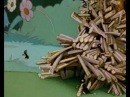 ВОЛШЕБНЫЙ СУНДУЧОК